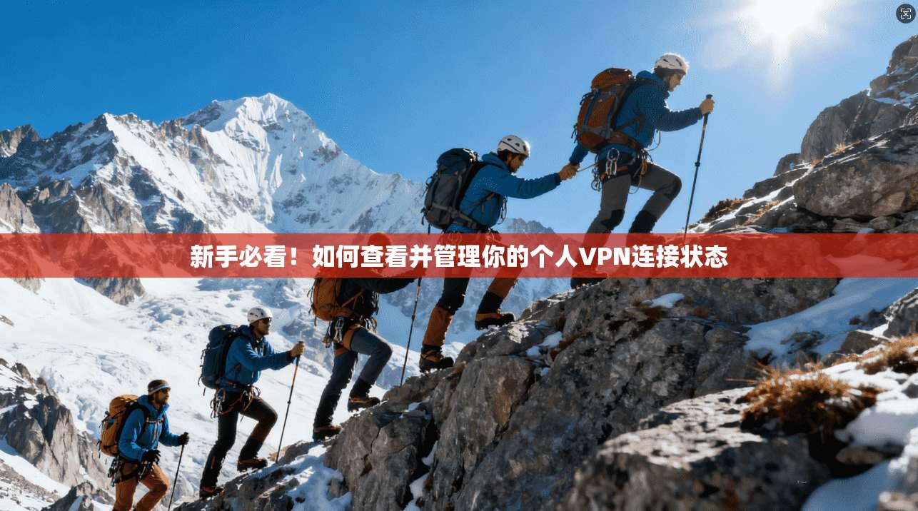 新手必看！如何查看并管理你的个人VPN连接状态