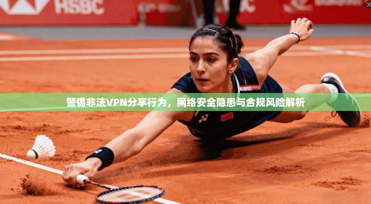 警惕非法VPN分享行为,网络安全隐患与合规风险解析 警惕非法VPN分享行为,网络安全隐患与合规风险解析