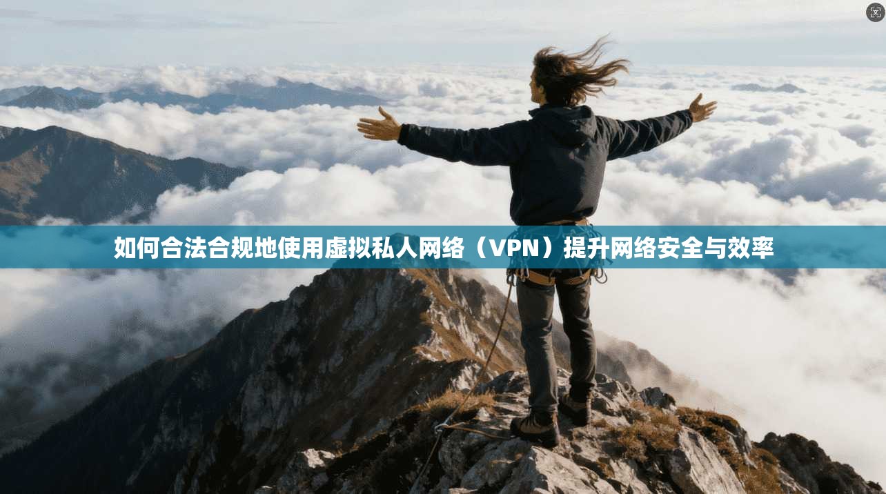 如何合法合规地使用虚拟私人网络(VPN)提升网络安全与效率