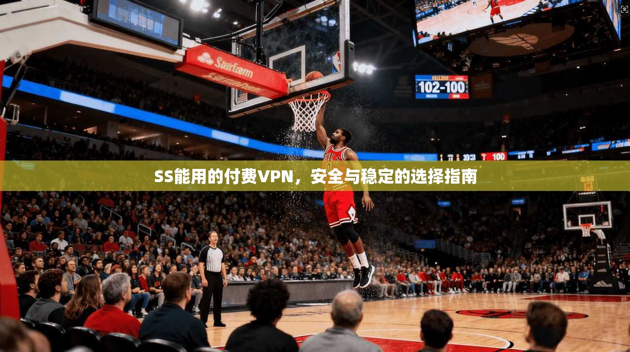 SS能用的付费VPN，安全与稳定的选择指南