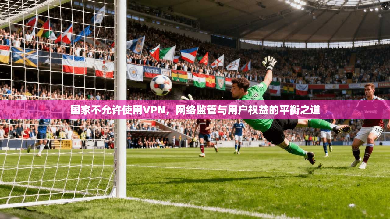 国家不允许使用VPN，网络监管与用户权益的平衡之道