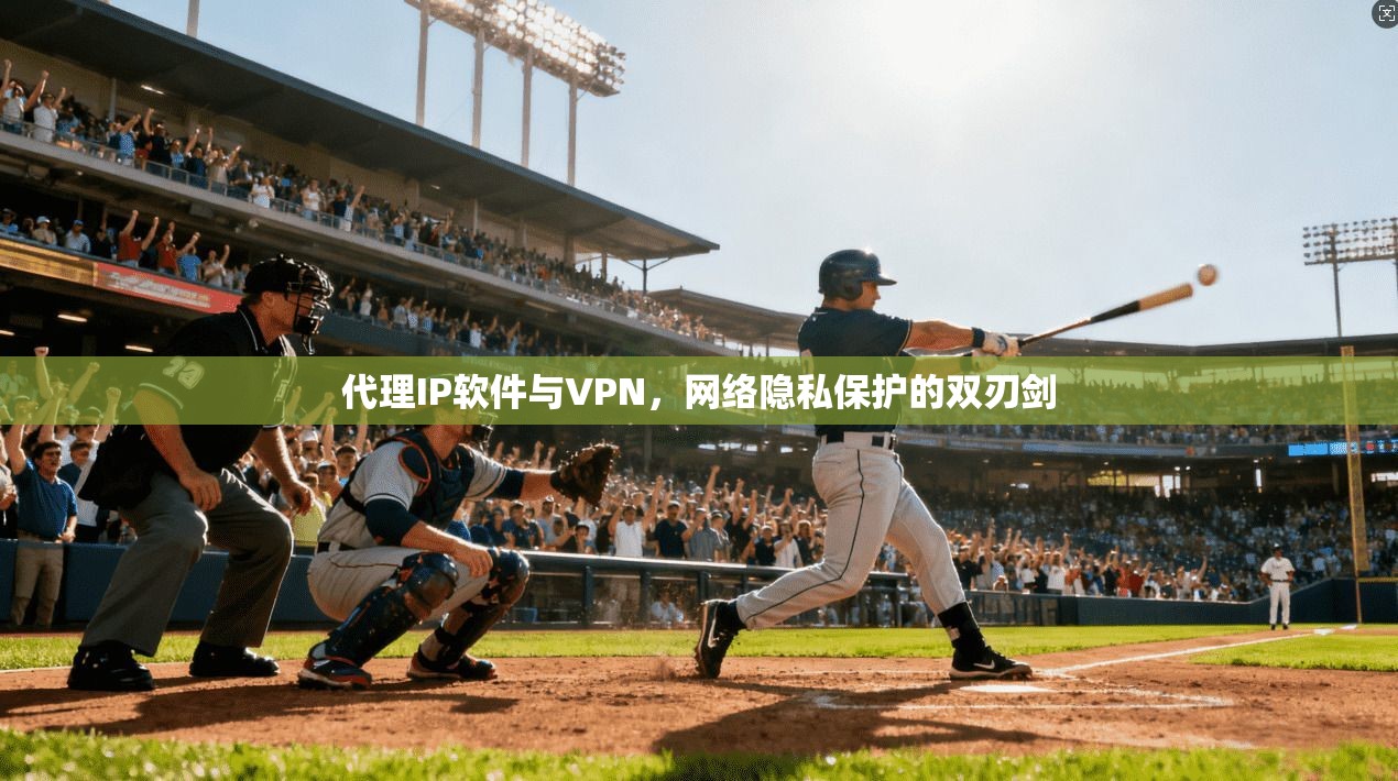 代理IP软件与VPN,网络隐私保护的双刃剑
