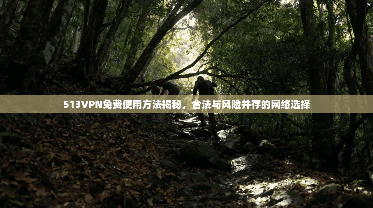 513VPN免费使用方法揭秘,合法与风险并存的网络选择