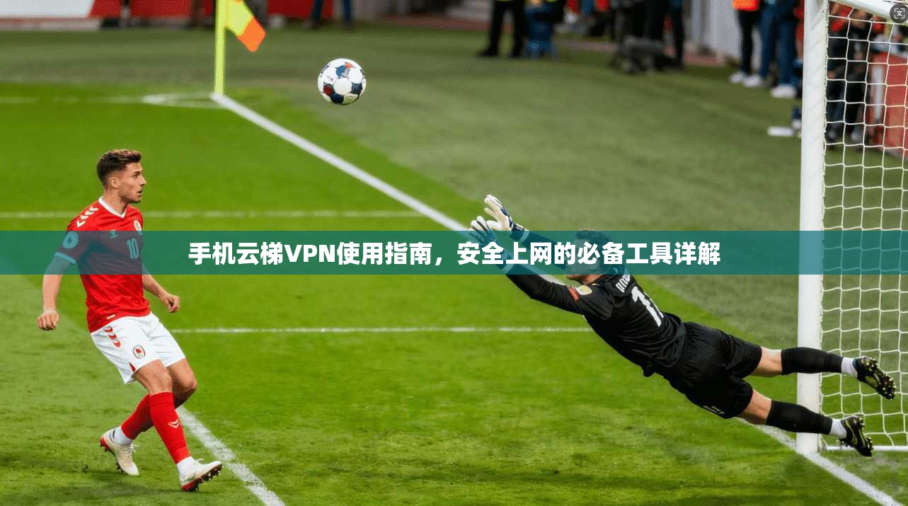 手机云梯VPN使用指南，安全上网的必备工具详解