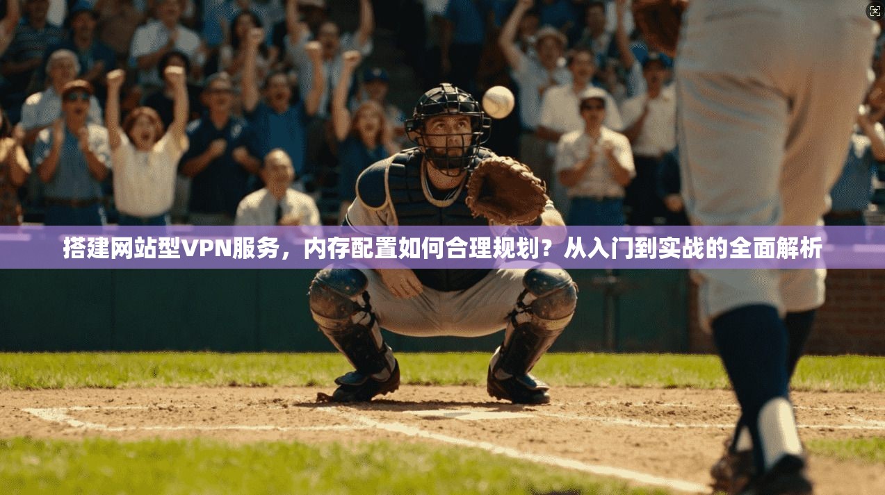搭建网站型VPN服务，内存配置如何合理规划？从入门到实战的全面解析