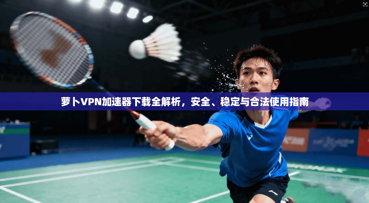 萝卜VPN加速器下载全解析,安全、稳定与合法使用指南 萝卜VPN加速器下载全解析,安全、稳定与合法使用指南