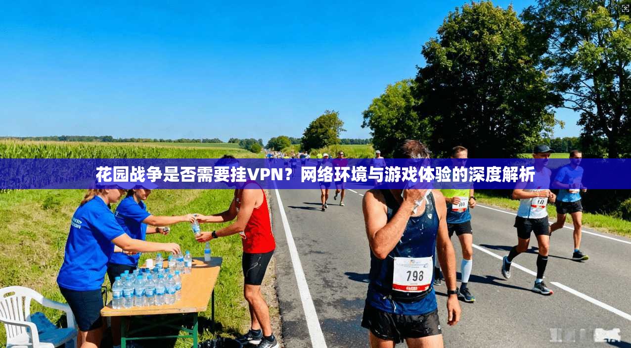 花园战争是否需要挂VPN？网络环境与游戏体验的深度解析