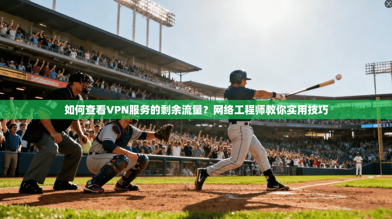 如何查看VPN服务的剩余流量?网络工程师教你实用技巧
