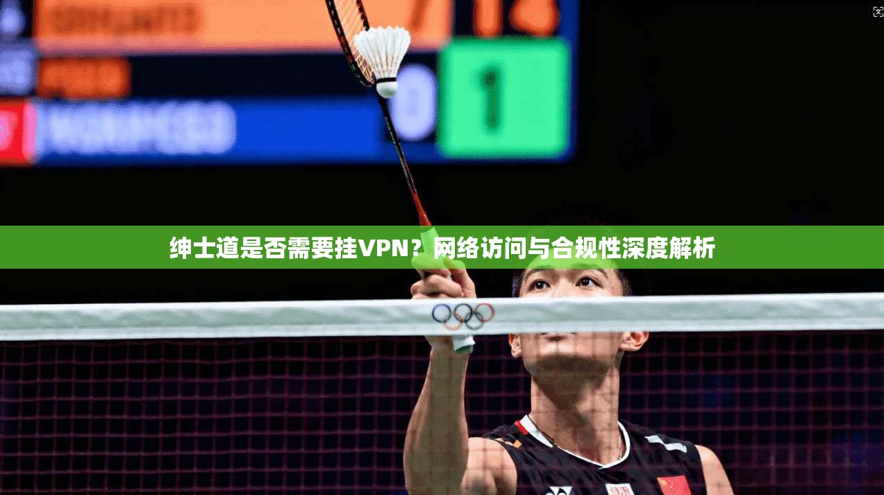 绅士道是否需要挂VPN？网络访问与合规性深度解析