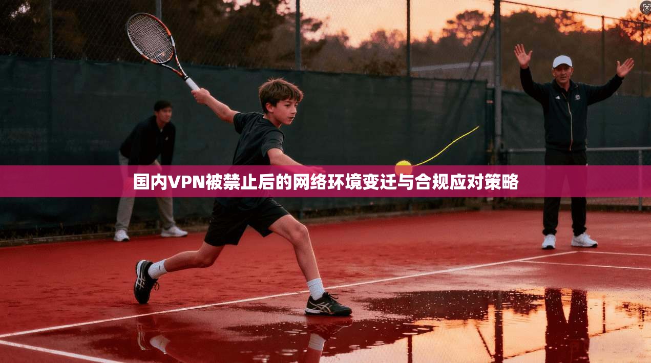 国内VPN被禁止后的网络环境变迁与合规应对策略 国内VPN被禁止后的网络环境变迁与合规应对策略
