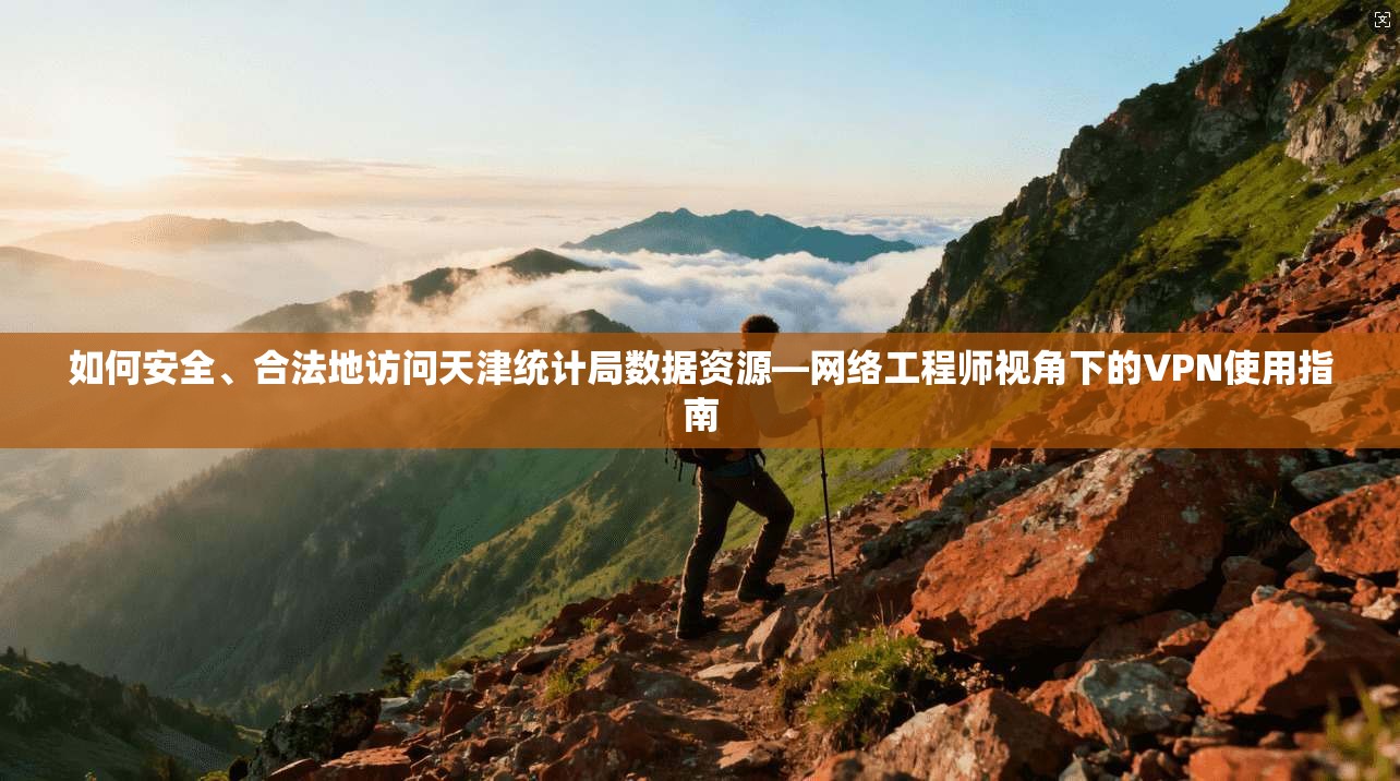 如何安全、合法地访问天津统计局数据资源—网络工程师视角下的VPN使用指南 如何安全、合法地访问天津统计局数据资源—网络工程师视角下的VPN使用指南