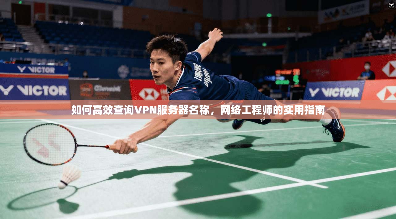 如何高效查询VPN服务器名称,网络工程师的实用指南