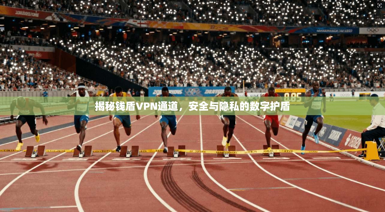 揭秘钱盾VPN通道,安全与隐私的数字护盾 揭秘钱盾VPN通道,安全与隐私的数字护盾
