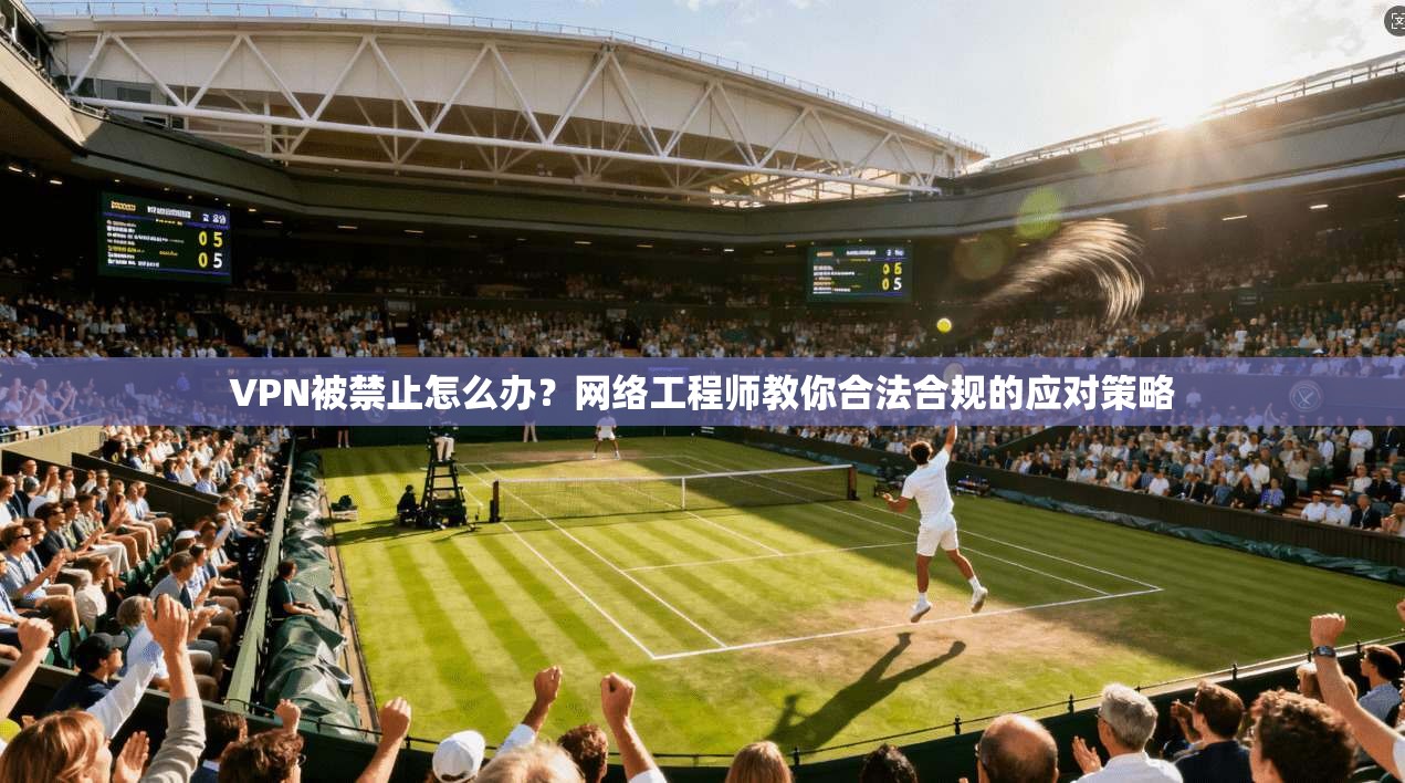 VPN被禁止怎么办？网络工程师教你合法合规的应对策略