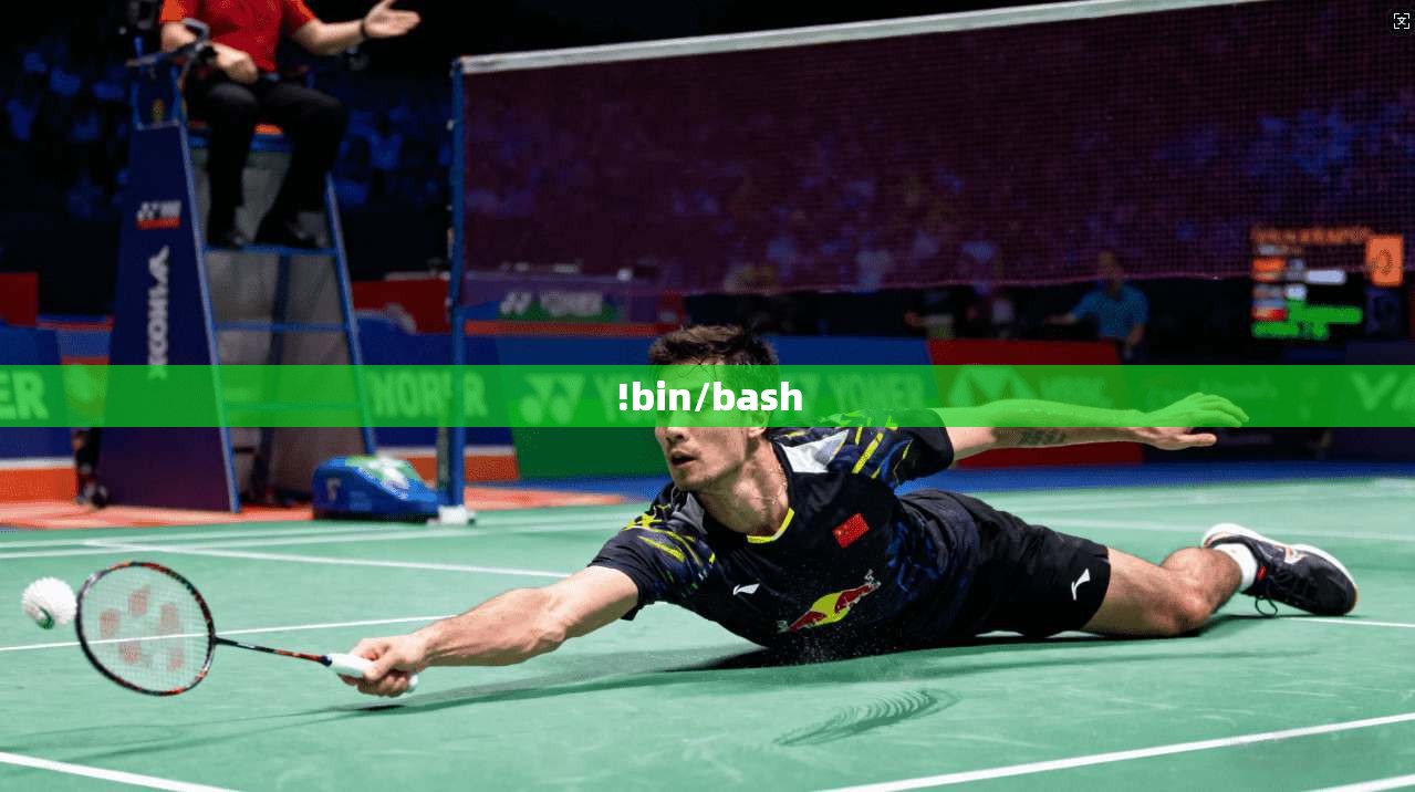 !bin/bash