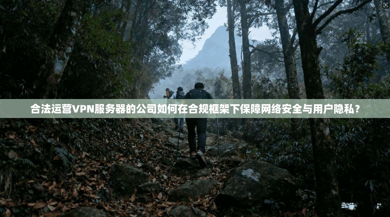 合法运营VPN服务器的公司如何在合规框架下保障网络安全与用户隐私？