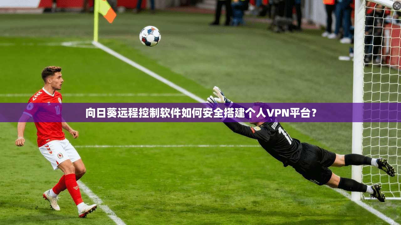 向日葵远程控制软件如何安全搭建个人VPN平台？