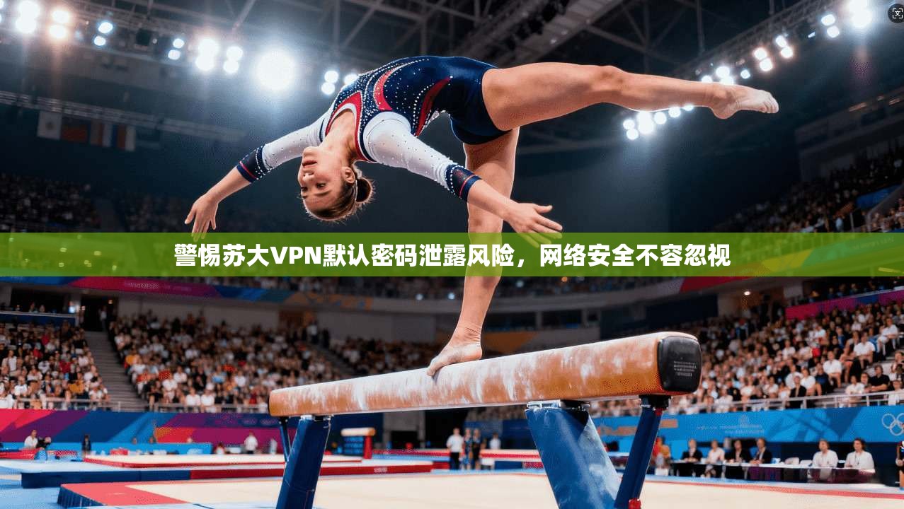 警惕苏大VPN默认密码泄露风险,网络安全不容忽视