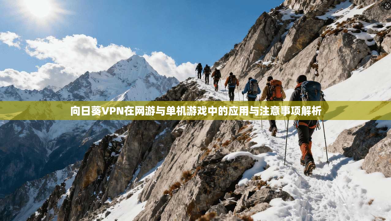 向日葵VPN在网游与单机游戏中的应用与注意事项解析