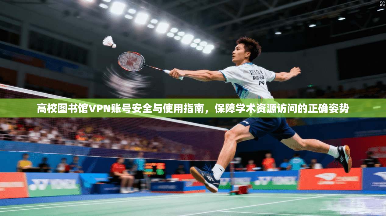 高校图书馆VPN账号安全与使用指南，保障学术资源访问的正确姿势