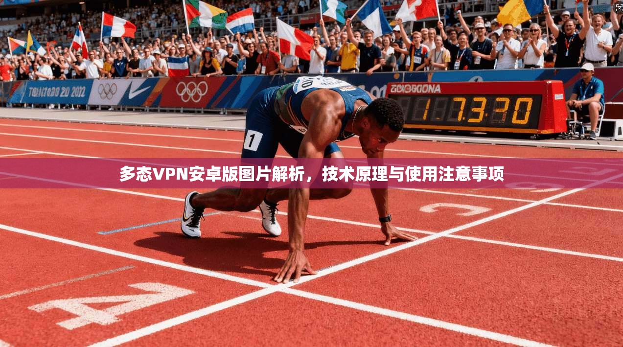 多态VPN安卓版图片解析,技术原理与使用注意事项