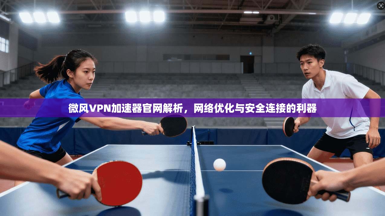 微风VPN加速器官网解析,网络优化与安全连接的利器