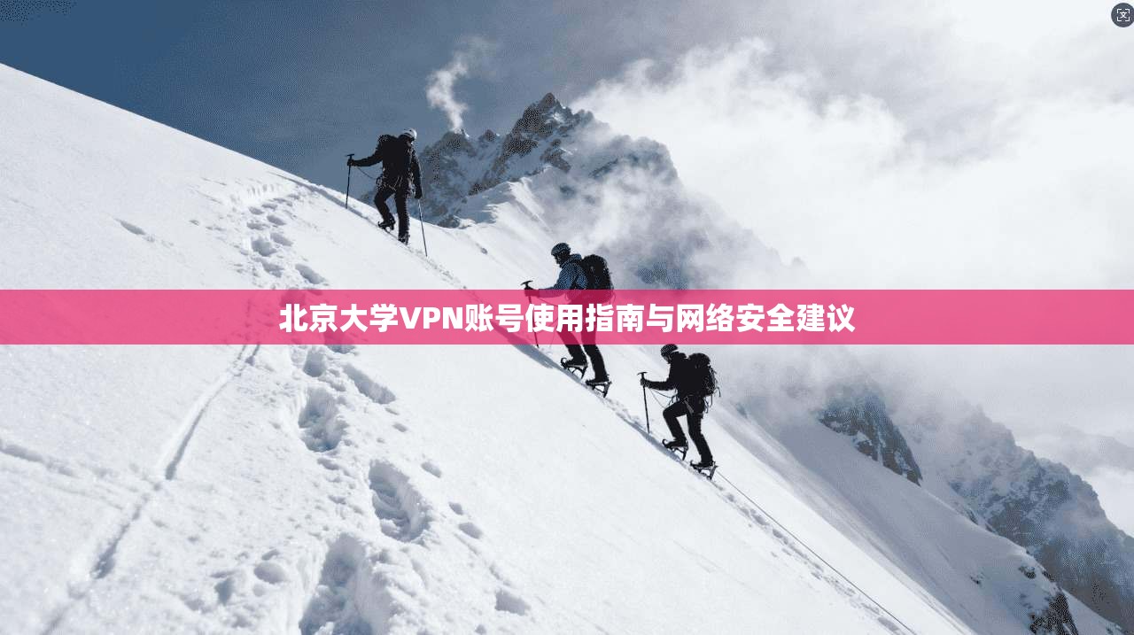 北京大学VPN账号使用指南与网络安全建议