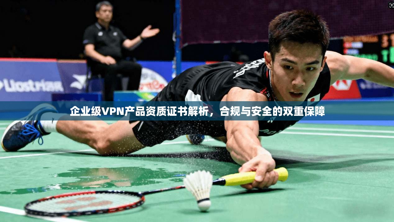 企业级VPN产品资质证书解析,合规与安全的双重保障