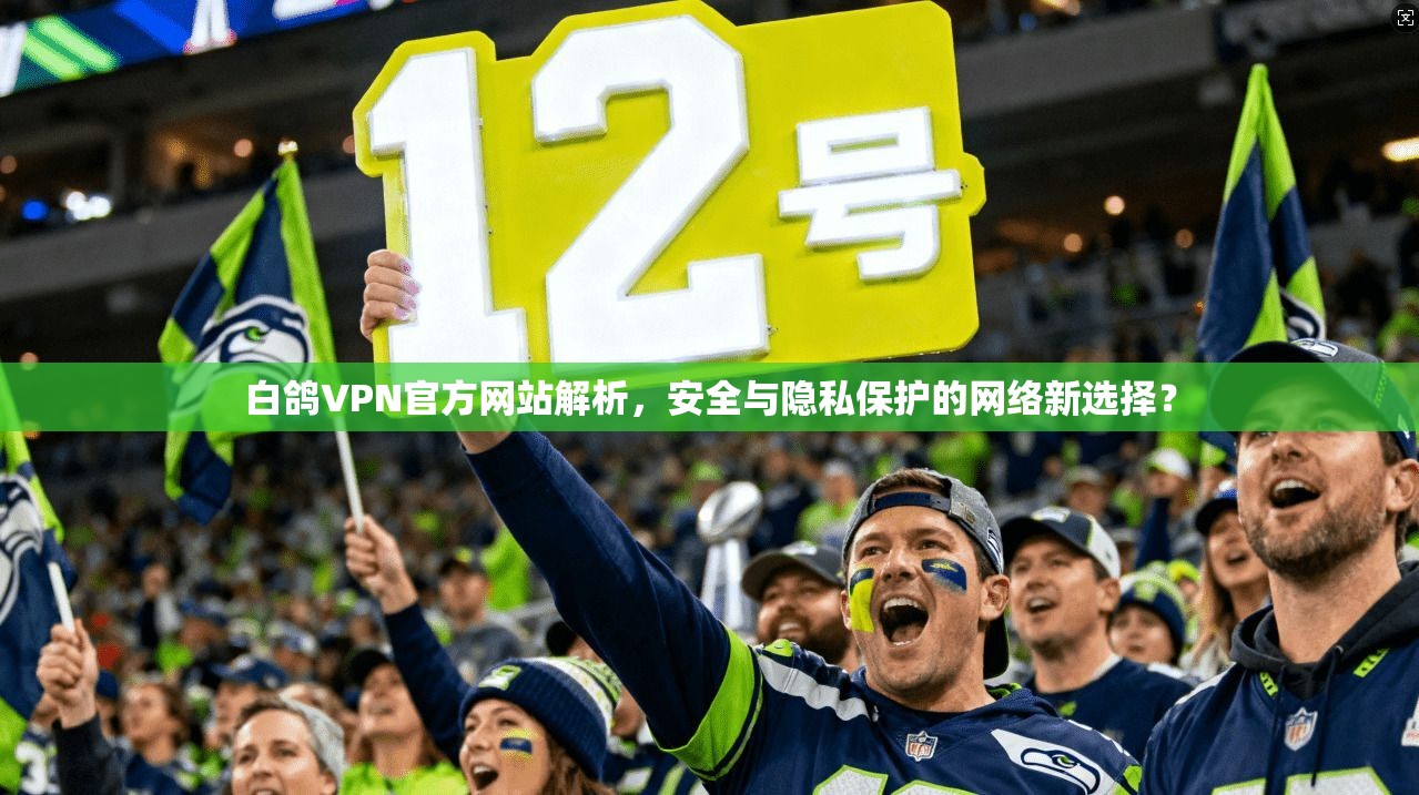 白鸽VPN官方网站解析,安全与隐私保护的网络新选择?
