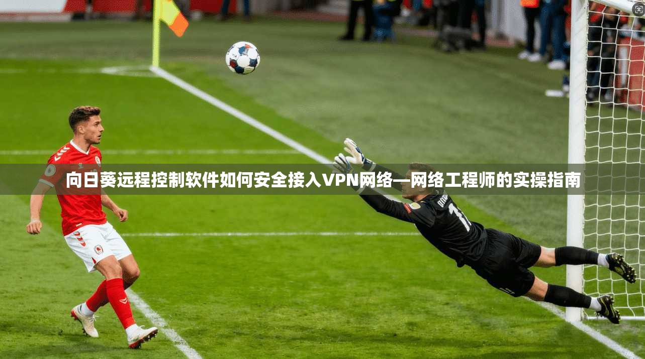 向日葵远程控制软件如何安全接入VPN网络—网络工程师的实操指南 向日葵远程控制软件如何安全接入VPN网络—网络工程师的实操指南