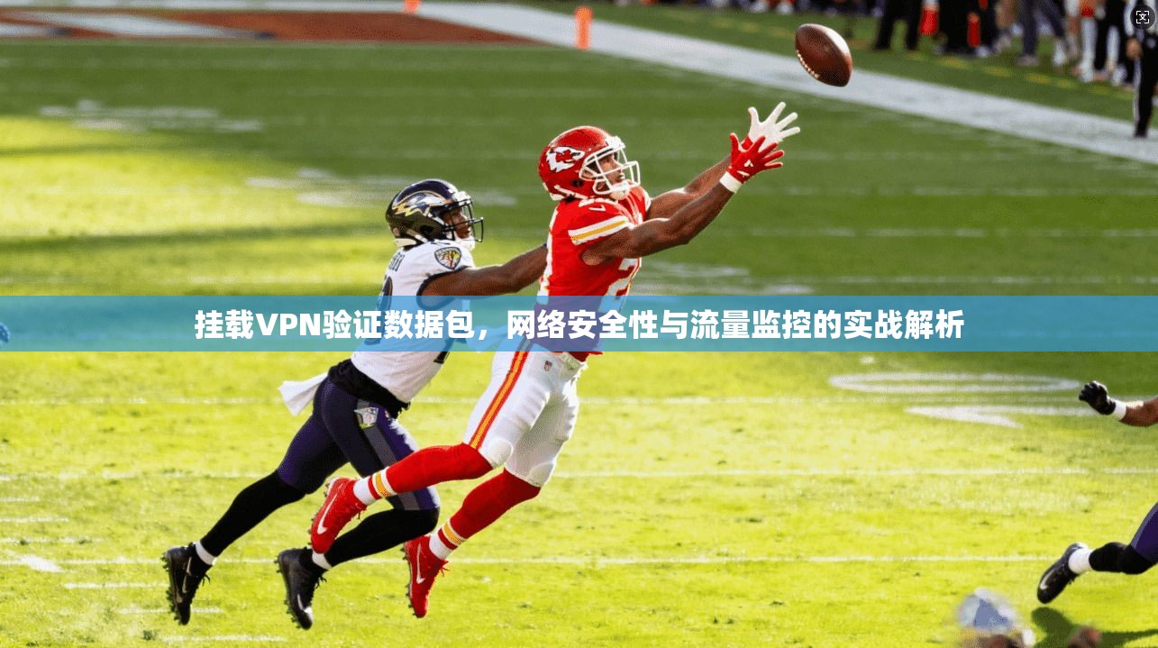 挂载VPN验证数据包,网络安全性与流量监控的实战解析 挂载VPN验证数据包,网络安全性与流量监控的实战解析