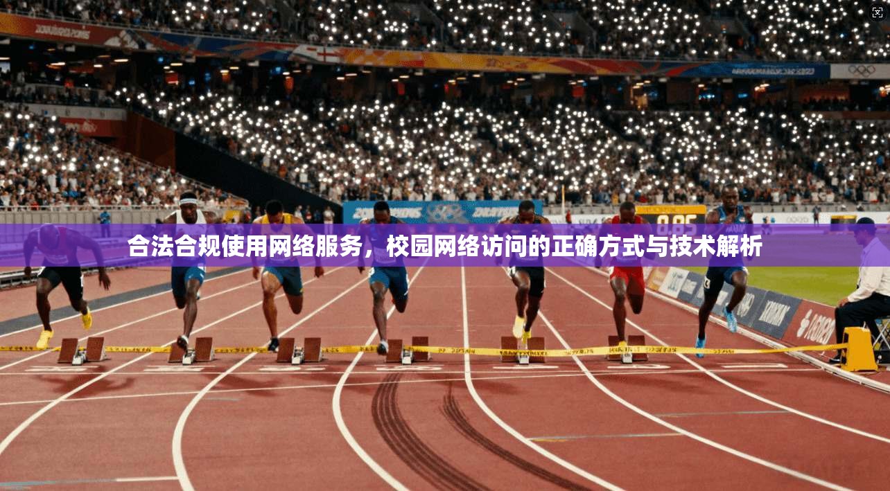 合法合规使用网络服务,校园网络访问的正确方式与技术解析 合法合规使用网络服务,校园网络访问的正确方式与技术解析