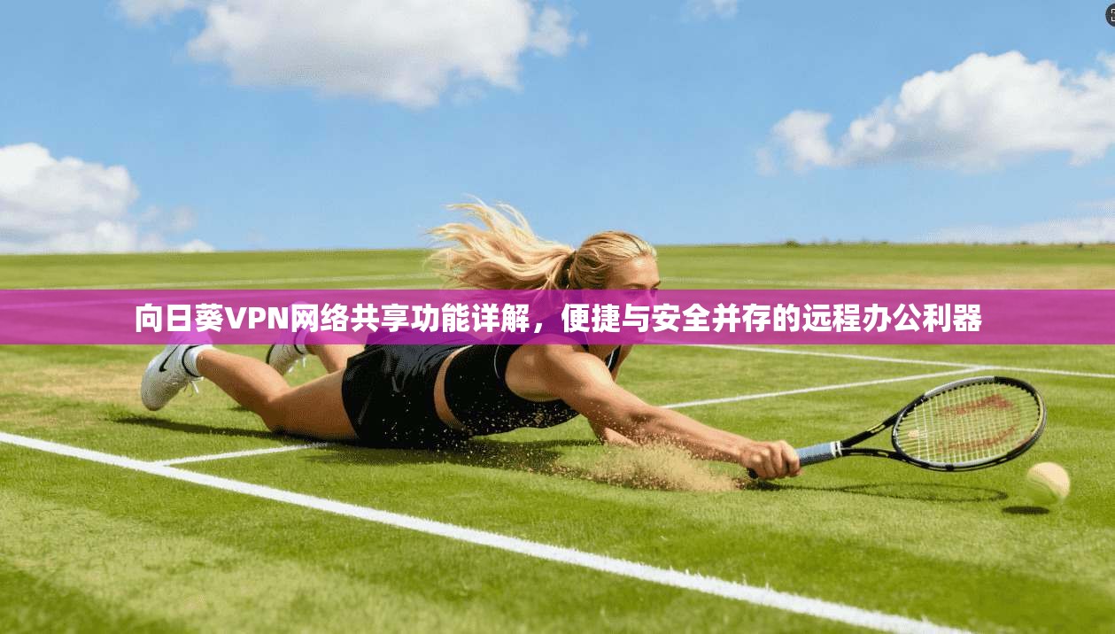 向日葵VPN网络共享功能详解,便捷与安全并存的远程办公利器