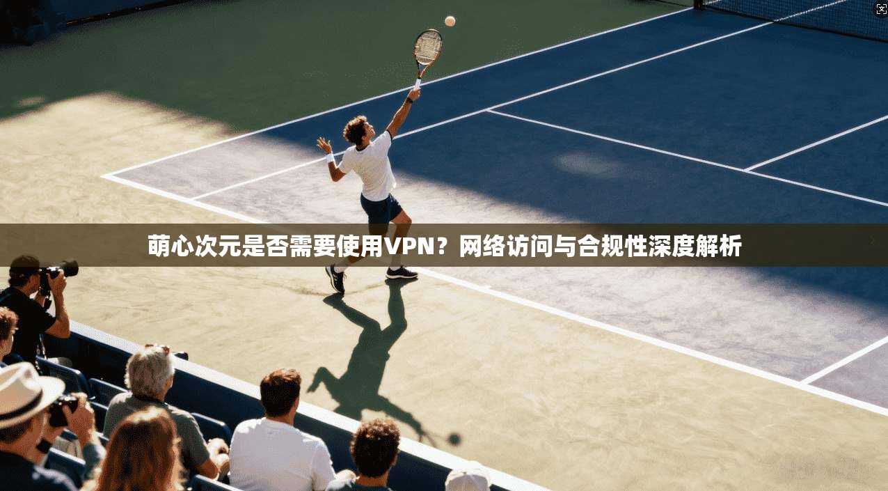 萌心次元是否需要使用VPN?网络访问与合规性深度解析