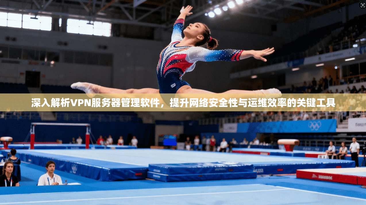 深入解析VPN服务器管理软件,提升网络安全性与运维效率的关键工具
