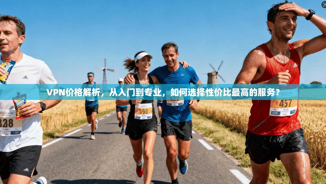 VPN价格解析，从入门到专业，如何选择性价比最高的服务？