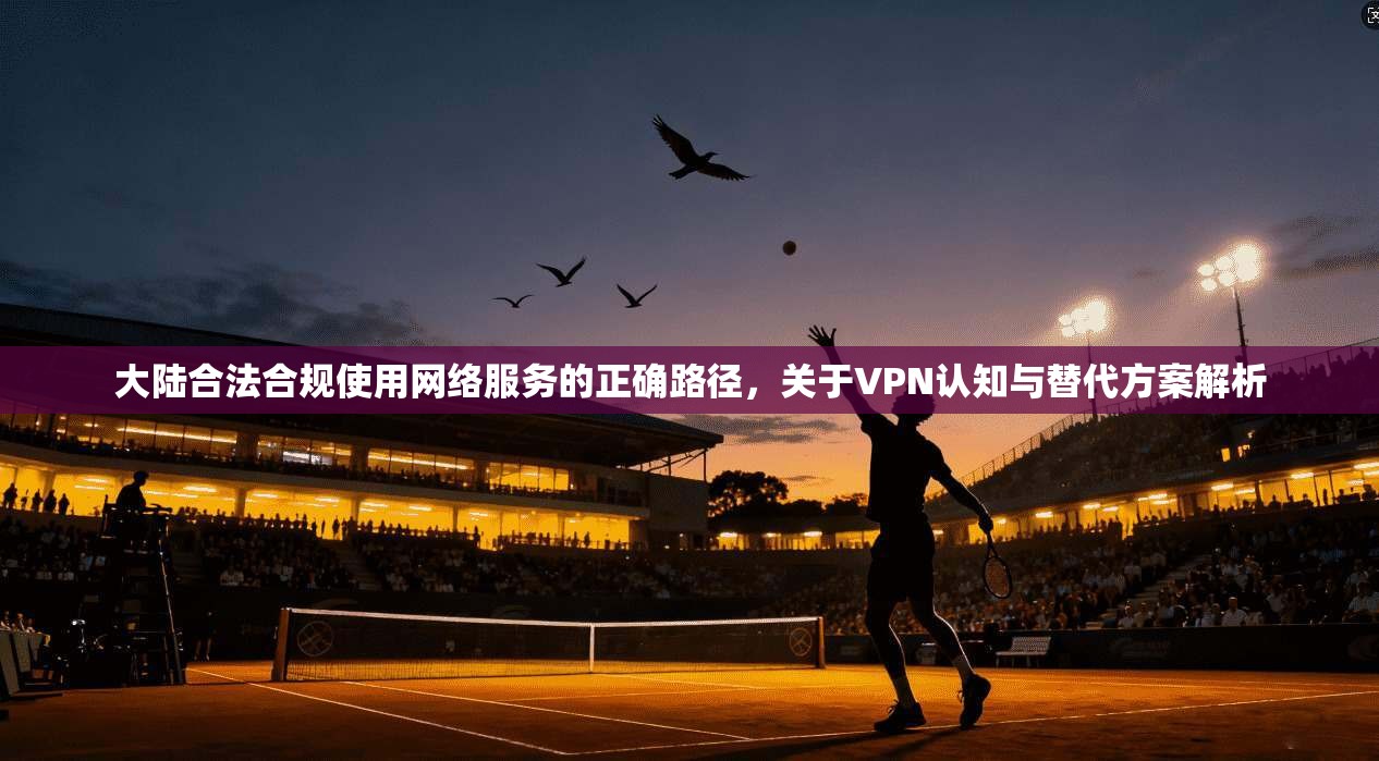 大陆合法合规使用网络服务的正确路径,关于VPN认知与替代方案解析