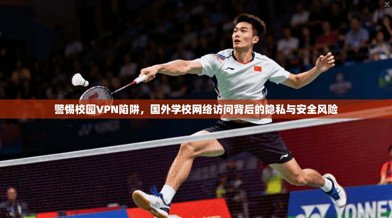 警惕校园VPN陷阱,国外学校网络访问背后的隐私与安全风险