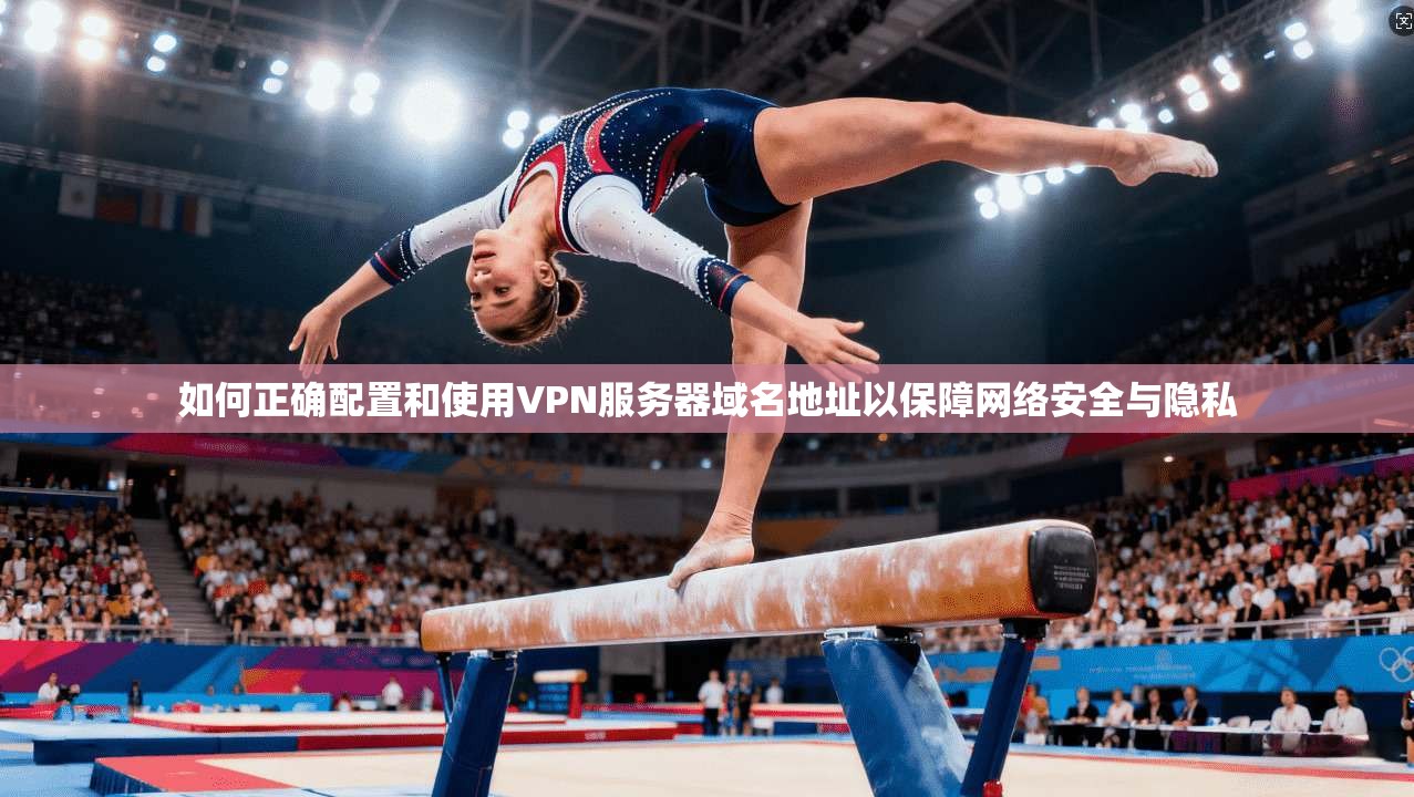 如何正确配置和使用VPN服务器域名地址以保障网络安全与隐私