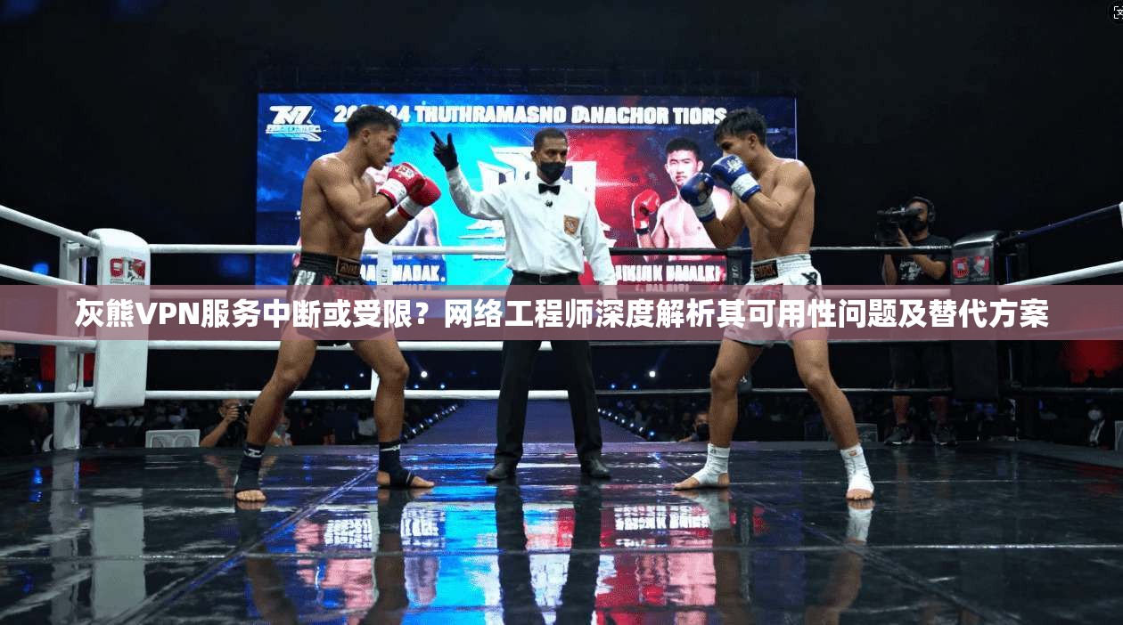 灰熊VPN服务中断或受限?网络工程师深度解析其可用性问题及替代方案