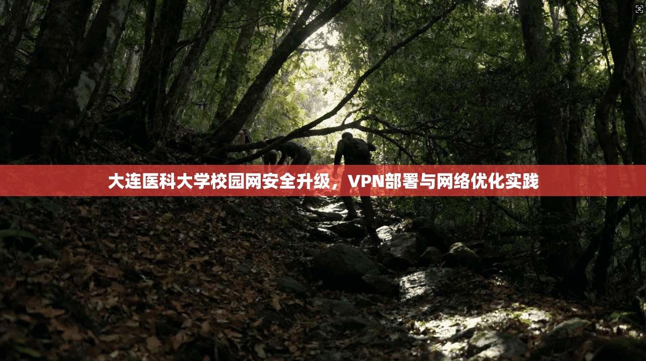大连医科大学校园网安全升级,VPN部署与网络优化实践