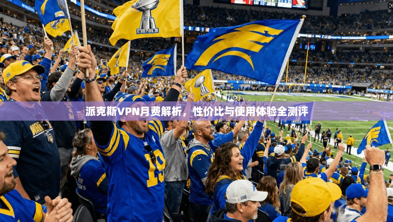 派克斯VPN月费解析,性价比与使用体验全测评 派克斯VPN月费解析,性价比与使用体验全测评
