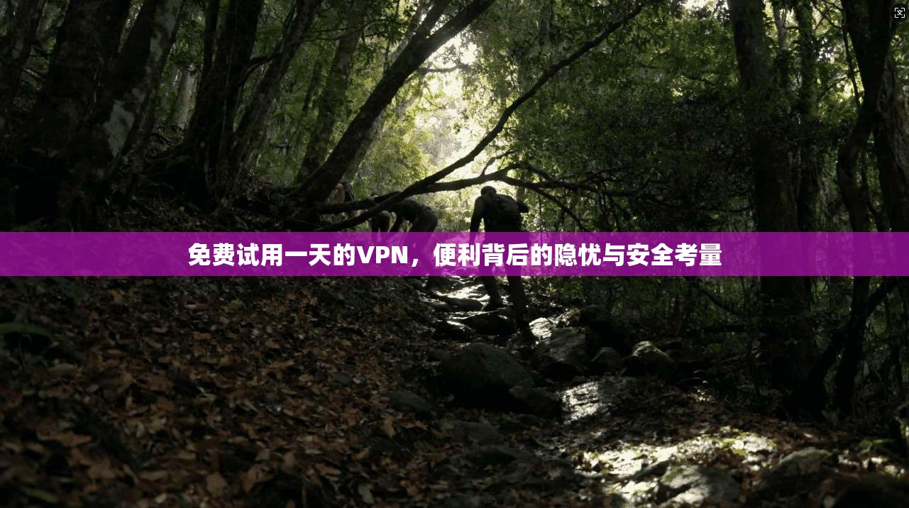 免费试用一天的VPN,便利背后的隐忧与安全考量 免费试用一天的VPN,便利背后的隐忧与安全考量