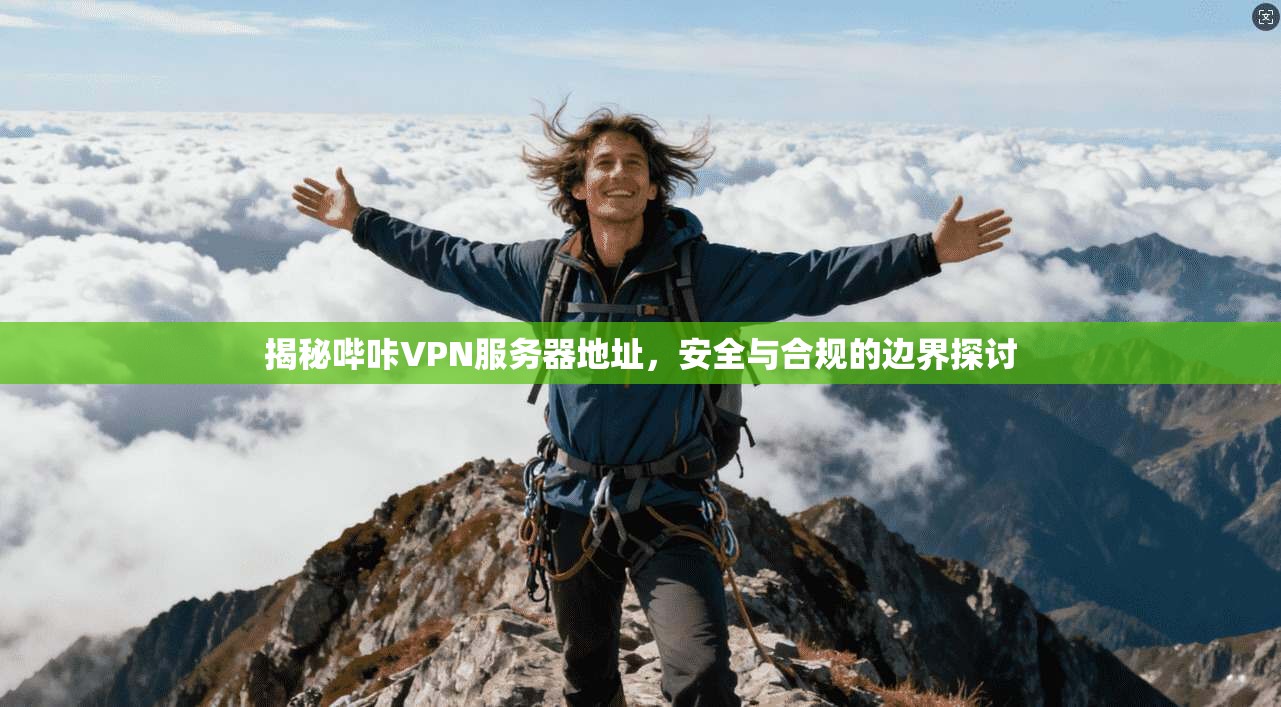 揭秘哔咔VPN服务器地址,安全与合规的边界探讨