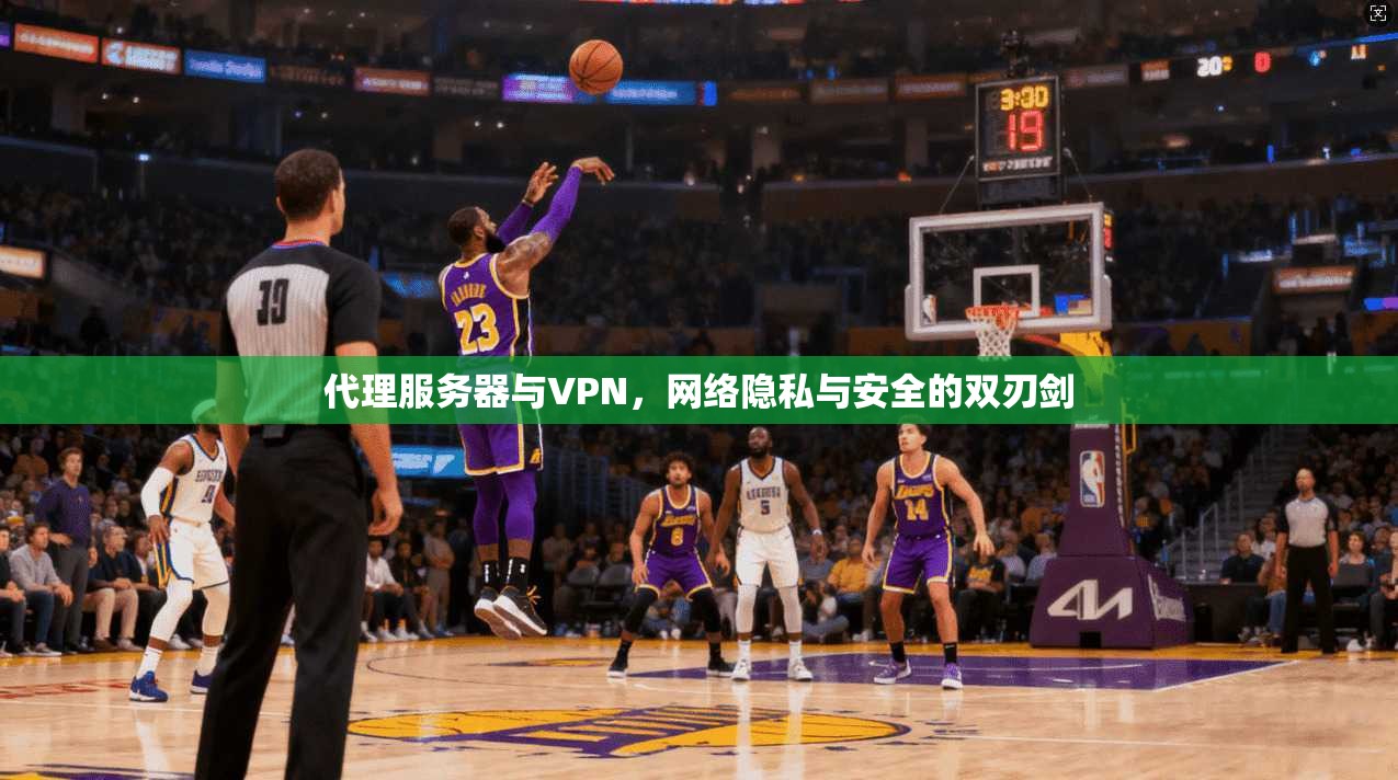 代理服务器与VPN，网络隐私与安全的双刃剑