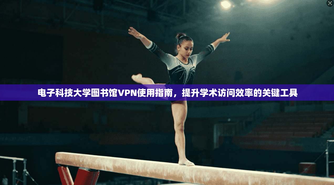 电子科技大学图书馆VPN使用指南，提升学术访问效率的关键工具