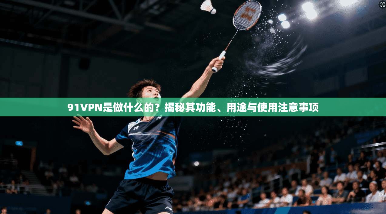 91VPN是做什么的?揭秘其功能、用途与使用注意事项