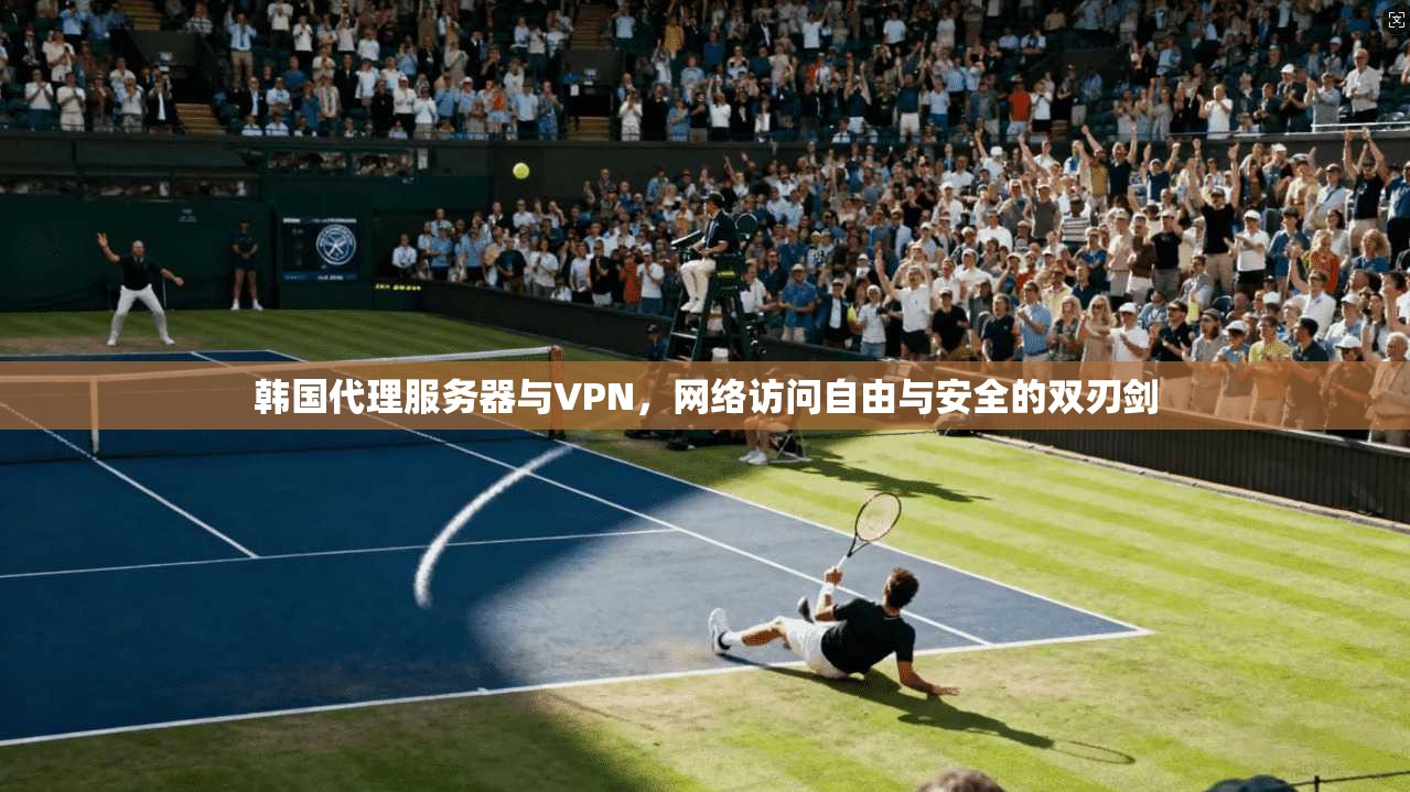 韩国代理服务器与VPN,网络访问自由与安全的双刃剑