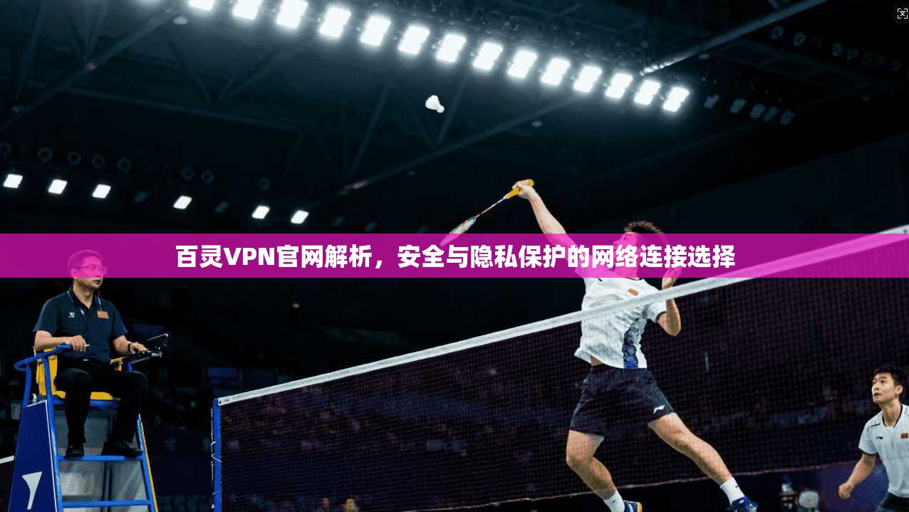 百灵VPN官网解析,安全与隐私保护的网络连接选择
