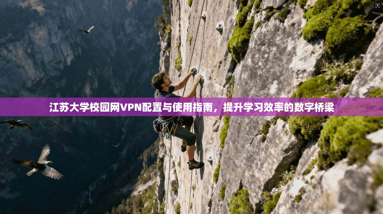 江苏大学校园网VPN配置与使用指南,提升学习效率的数字桥梁 江苏大学校园网VPN配置与使用指南,提升学习效率的数字桥梁